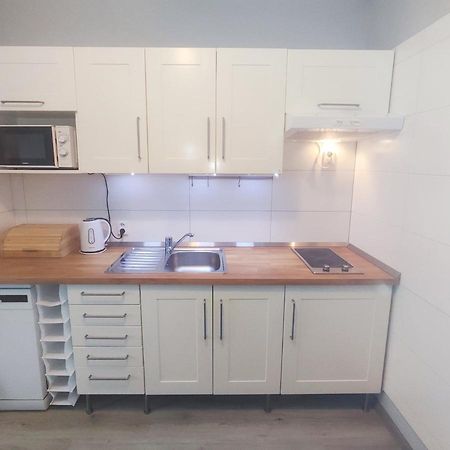 Alisa Apartments Kostomlaty nad Labem 外观 照片