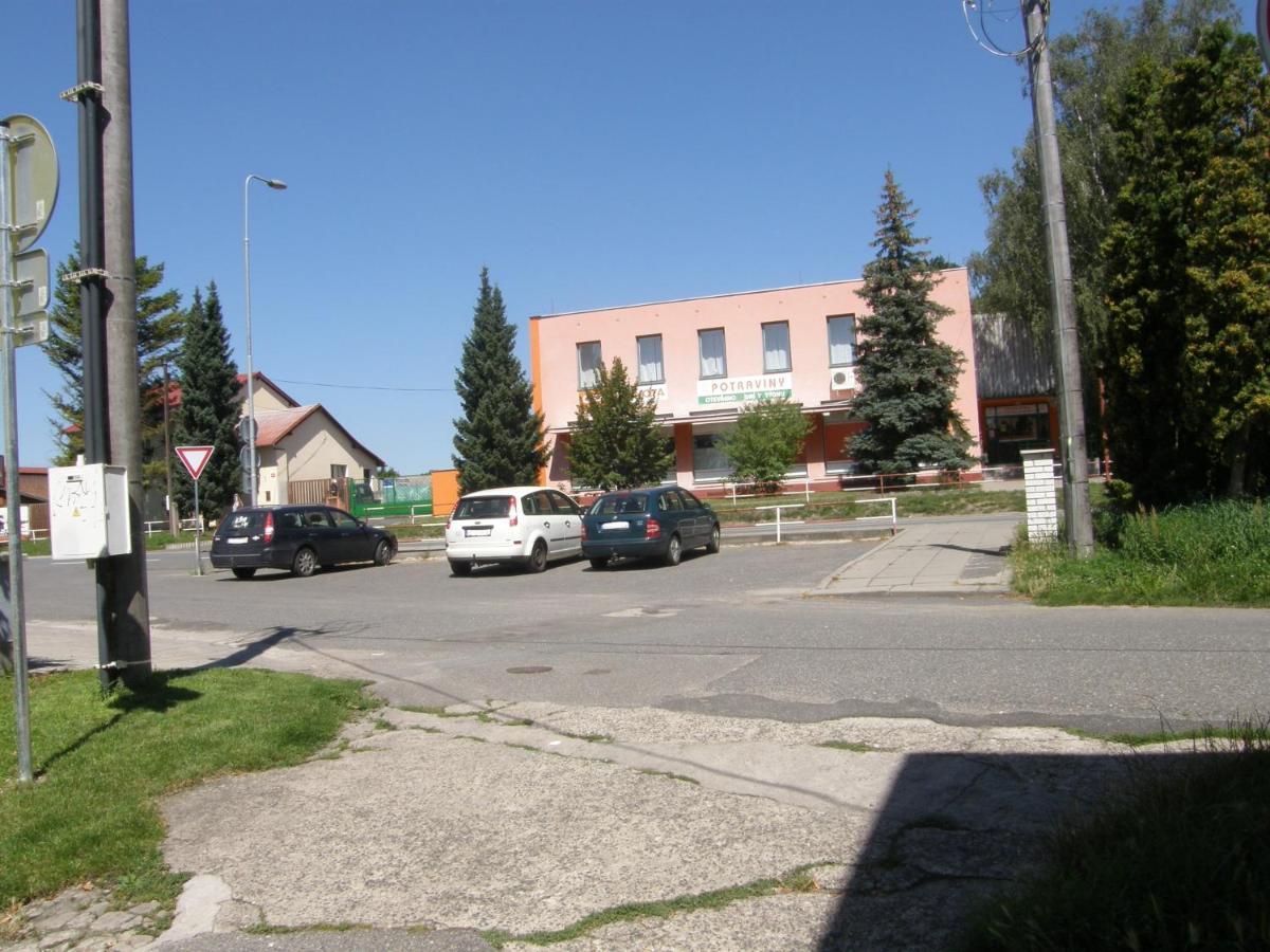 Alisa Apartments Kostomlaty nad Labem 外观 照片