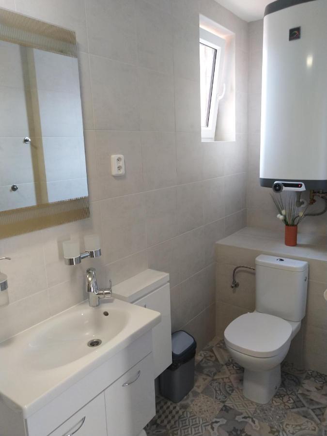 Alisa Apartments Kostomlaty nad Labem 外观 照片