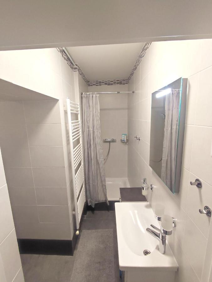 Alisa Apartments Kostomlaty nad Labem 外观 照片
